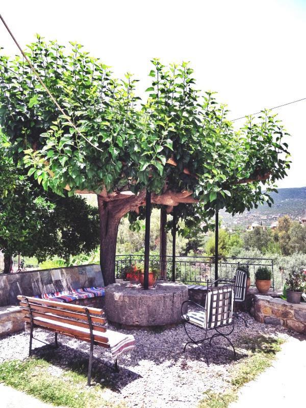 Kastro Aggeliki Apartment Kardamyli Exterior photo